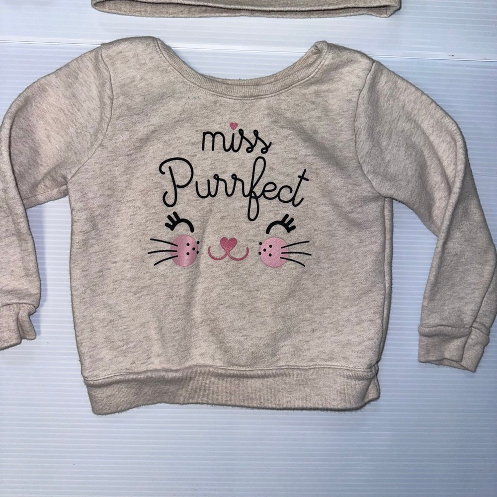 Lot of 2 Baby Girl Garanimals Sweatshirts 24 Months Beige Pink Leopard Cat - Picture 3 of 6